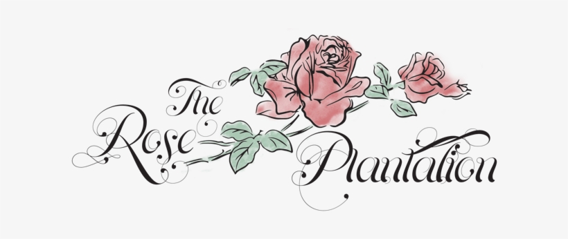 The Rose Plantation - Rose Plantation Fruitland Park, transparent png