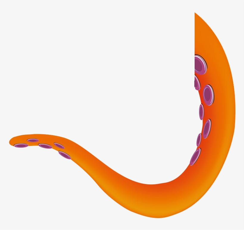 Octopus Tentacle, transparent png