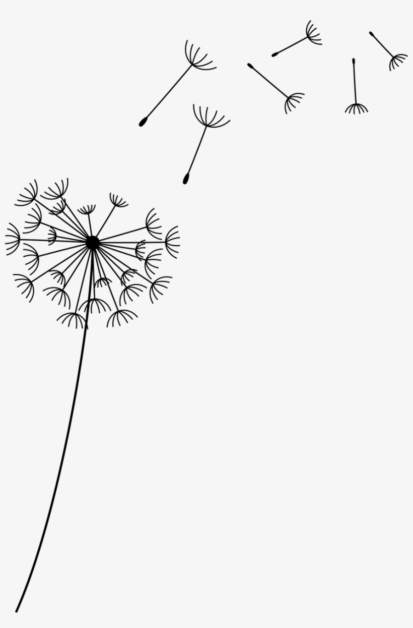 About Ecobin - Ecobin - Dandelion Seeds Transparent Background, transparent png