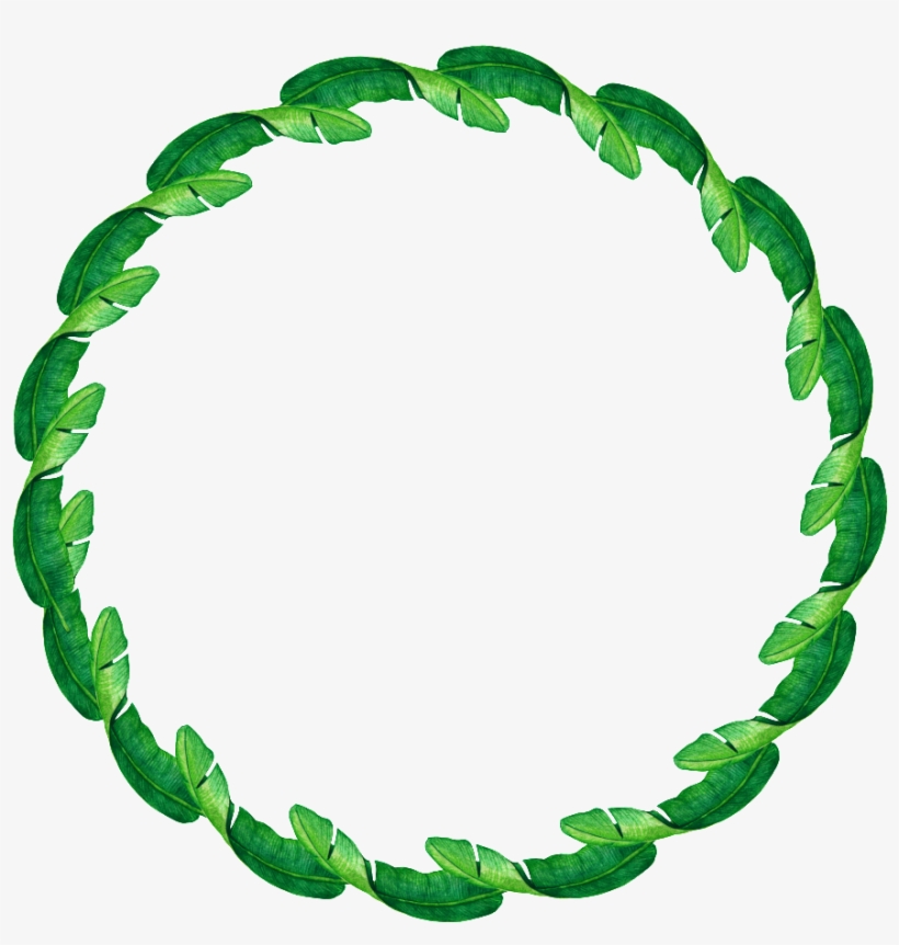 Hand Painted Banana Leaf Ring Png Transparent - Laureles En Circulo, transparent png