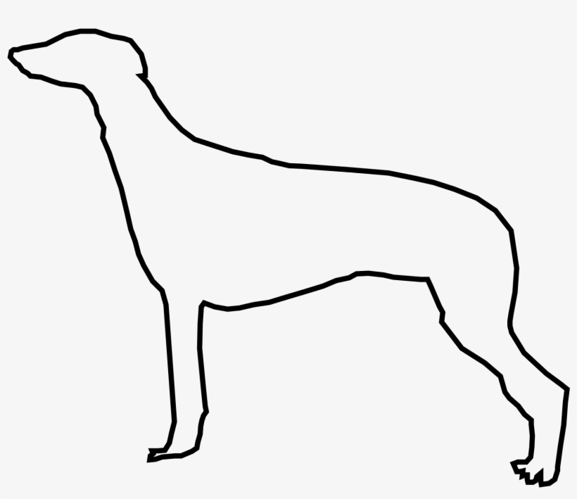 Open - Rampur Greyhound, transparent png
