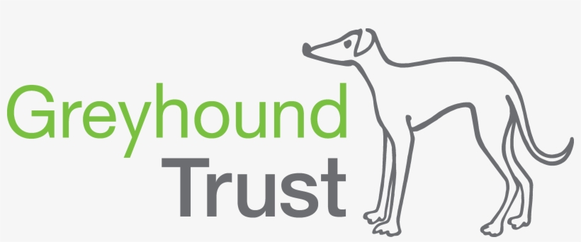 The Greyhound Trust Urgently Needs The Help Of People - Greyhound Trust, transparent png