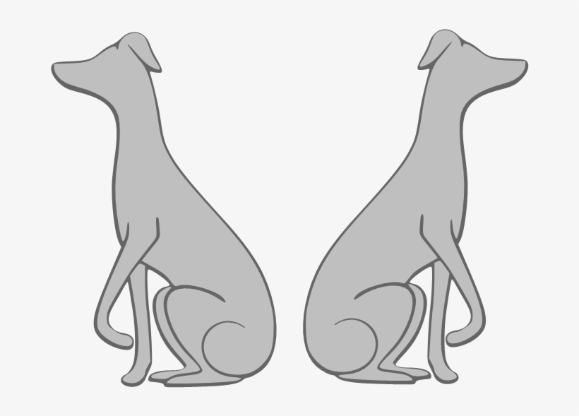 Italian Greyhound - Dog, transparent png