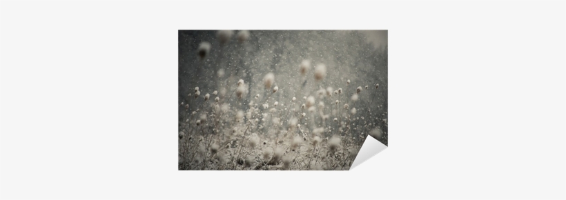 Vinilo Pixerstick Nieve Cayendo Y Cubriendo El Suelo - Jplo9|#jp London Mdxl1x798544 Jpl And Photocosma Present, transparent png