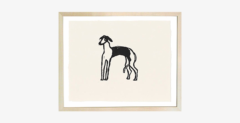 Greyhound - Whippet, transparent png