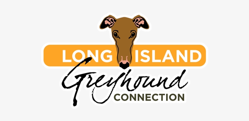 Long Island Greyhound Connection Inc., transparent png