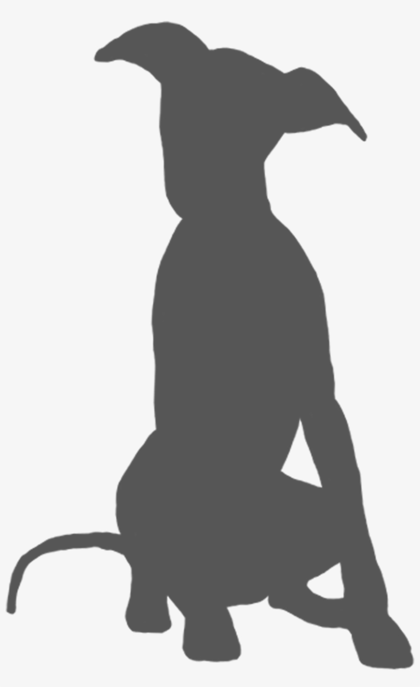 Google Search - Whippet Silhouette, transparent png