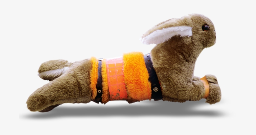 24/7 - Greyhound Racing, transparent png