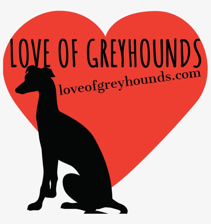 Greyhound Clipart Transparent - Dog, transparent png