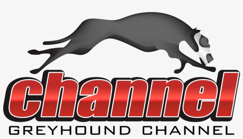 A Blog Covering A Variety Of Topics On Greyhound Racing - Greyhound ...