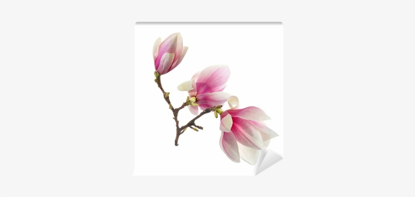 Вешалка-ключница Milarte Лайн, 30 Х 25 Х 5 См. Klvd-108008, transparent png