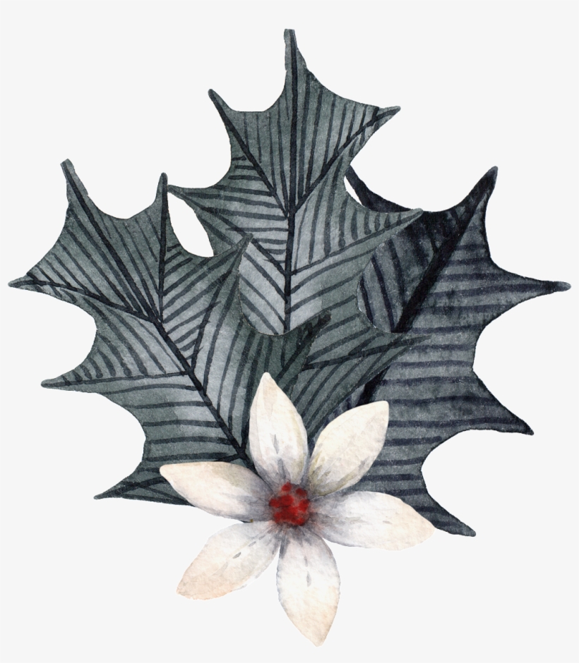 Magnolia And Grey Leaves Png Transparent - Portable Network Graphics, transparent png