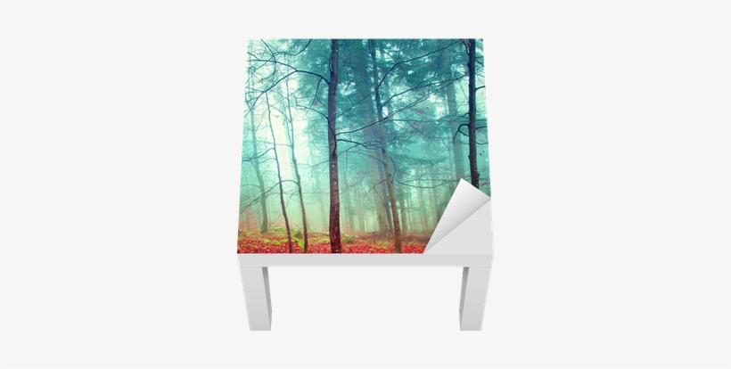 Colorful Mystic Autumn Trees Lack Table Veneer • Pixers® - 30 X 30 - Mystic Autumn Trees - Metal Print - 4 Panel, transparent png