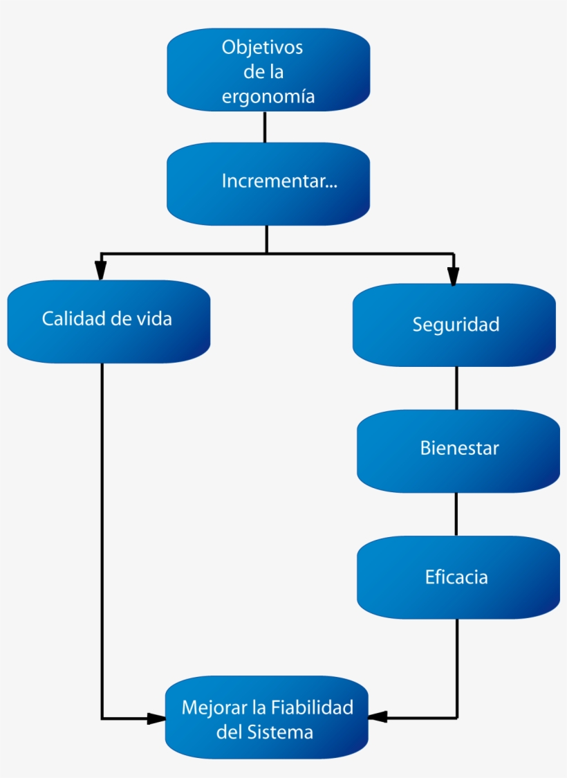 Objetivo De La Ergonomia1 - Mapas Conceptuales De La Ergonomia, transparent png