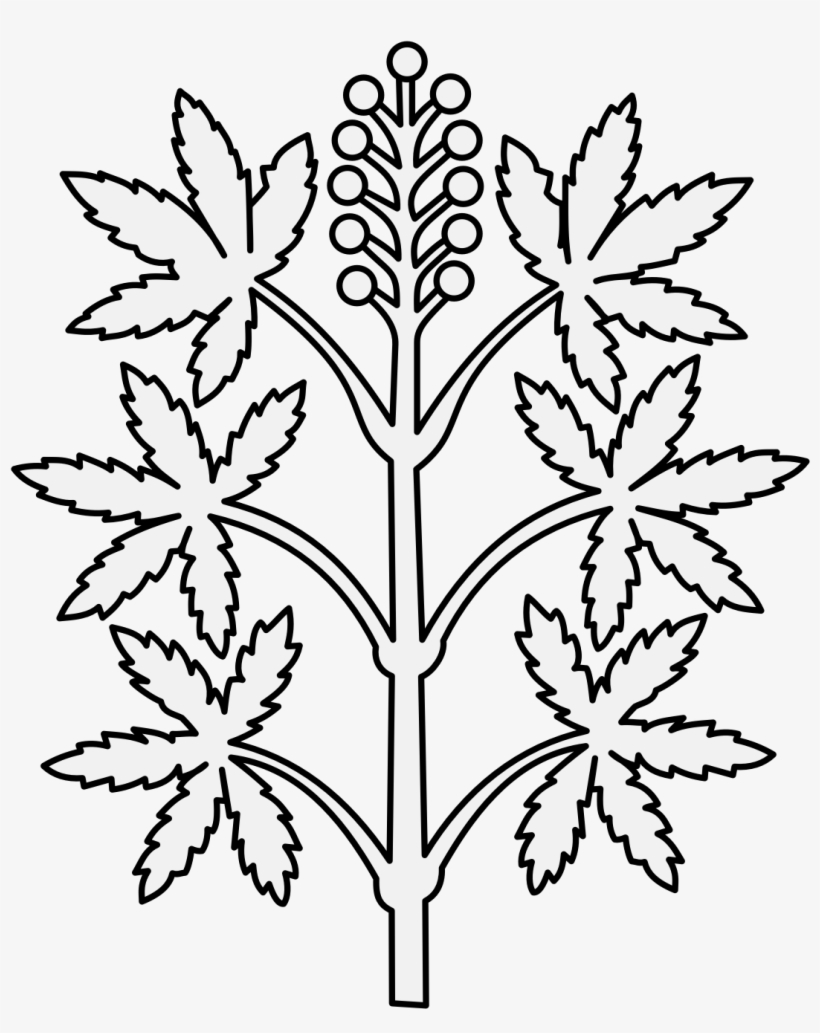 Details, Png - Art, transparent png