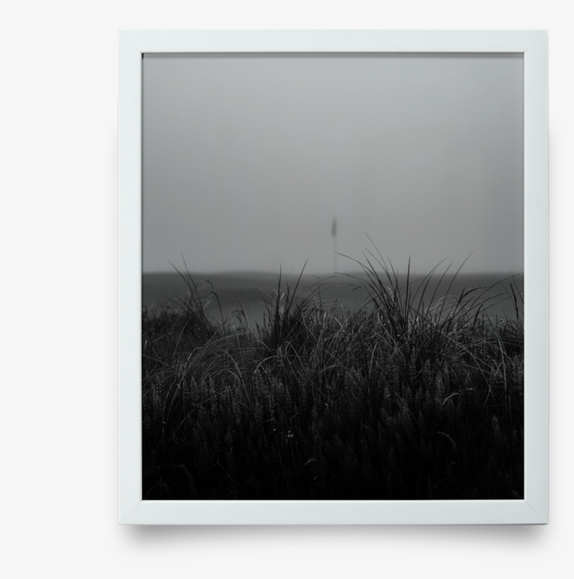 Fog Fescue Giclée Print - Picture Frame, transparent png