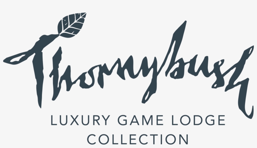 Thornybush Game Lodge - Thornybush Game Lodge Logo, transparent png