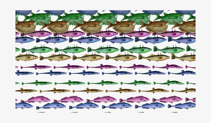 4 Animated Fish In 4 Colors - Umbrella, transparent png