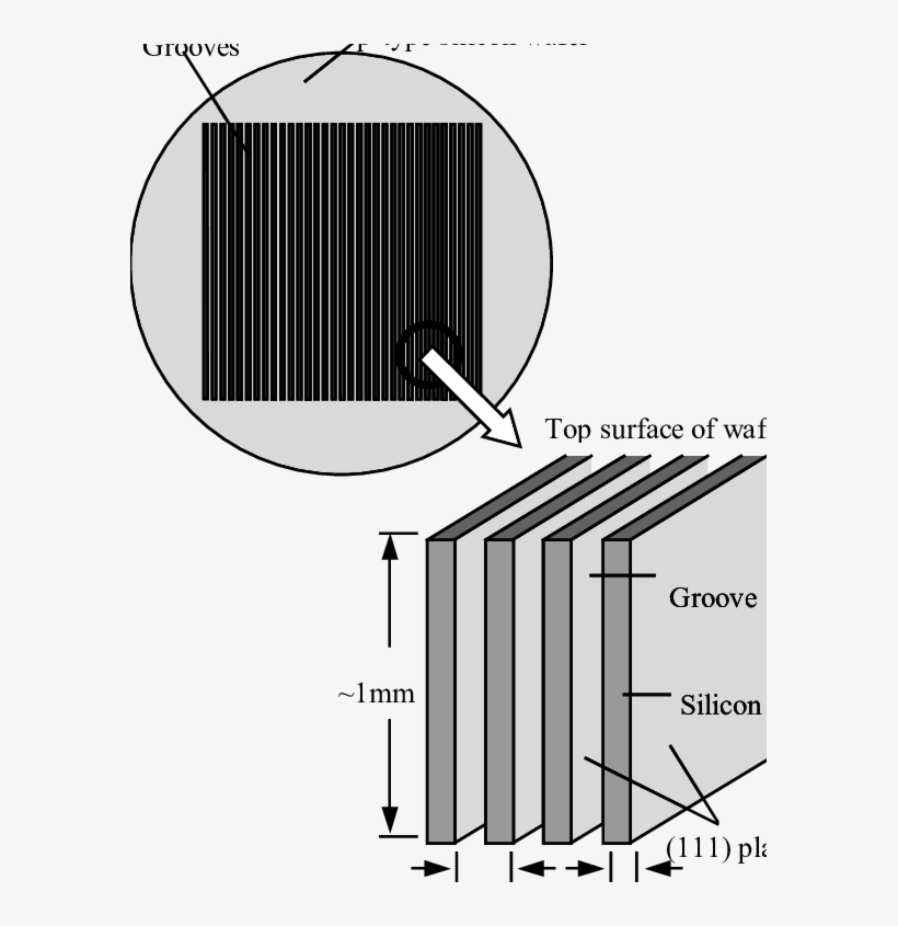 Long Thin Silicon Slices Are Supported By The Wafer - Neoconcrete Regatta / Day And Night, transparent png