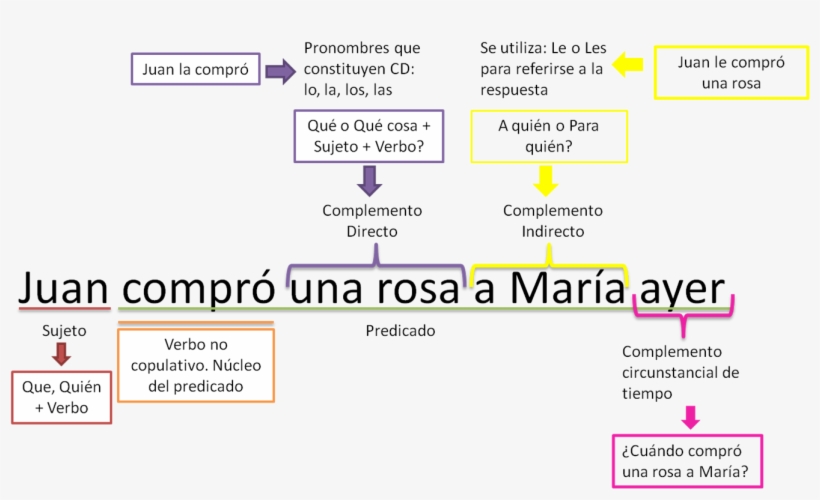 Analiza Morfosintácticamente Estas Oraciones - Oraciones Con Sus Partes, transparent png