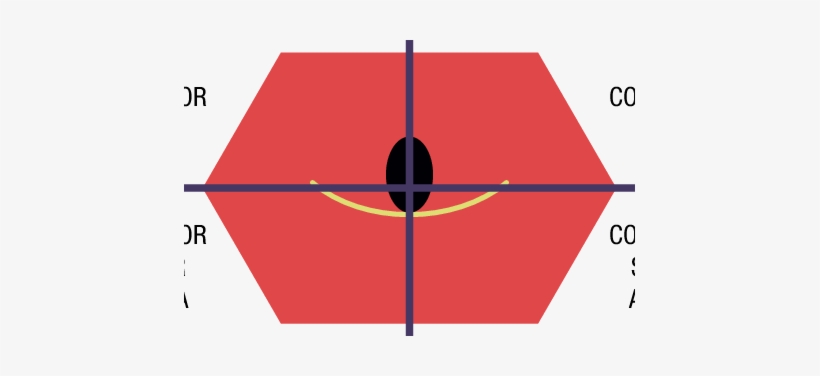Hexágono Diagnóstico Hipofaringeo - Hexagon, transparent png