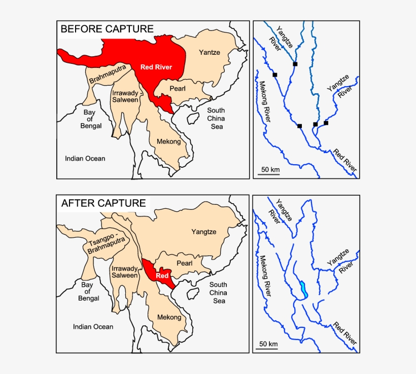 Cartoon After Clark Et Al - River, transparent png