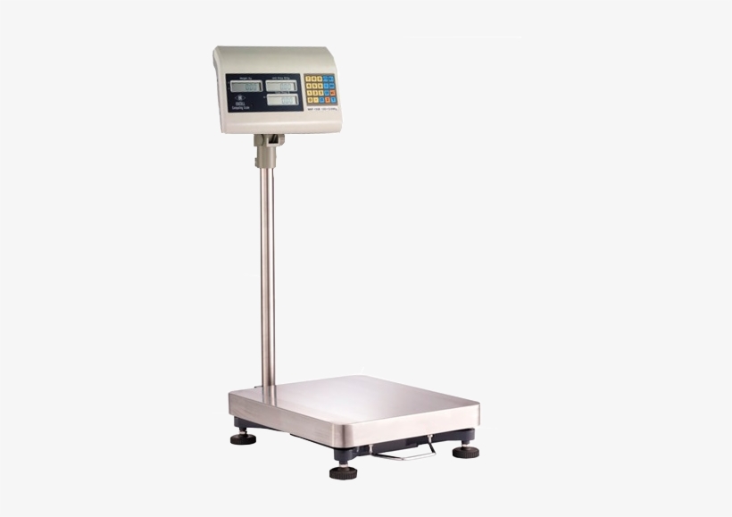 Configurar La Tecla Tara De La Balanza Excell Lap 300kg - Weighing Scale, transparent png