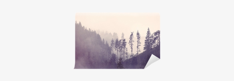 Go To Image - Photography, transparent png