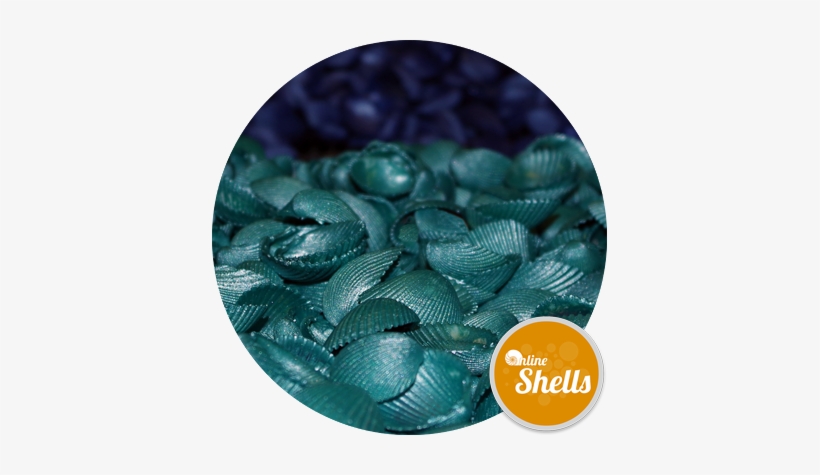 Coloured - Sportswear, transparent png