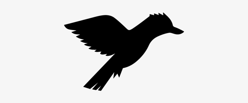 Logo, transparent png