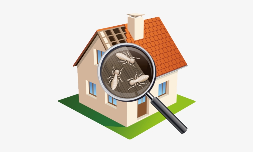 Termite Inspection Services Brickers Lansdale Pa 2 - Termite Inspection, transparent png
