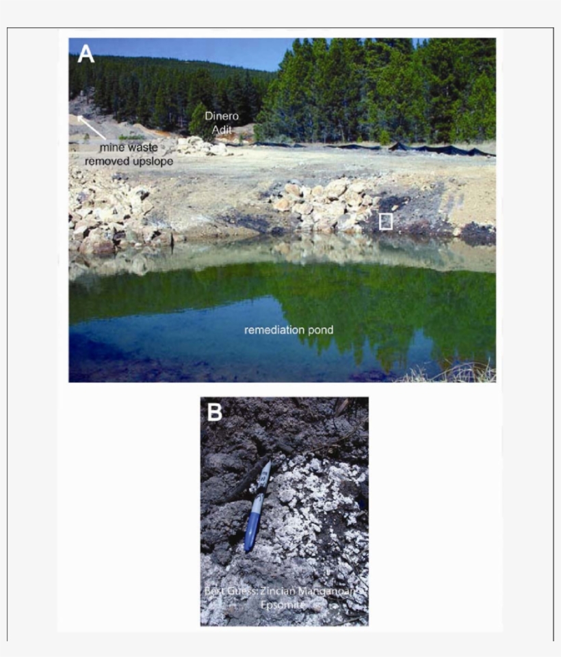 Photo Of Remediation Pond, 2003, After The Removal - Tree, transparent png