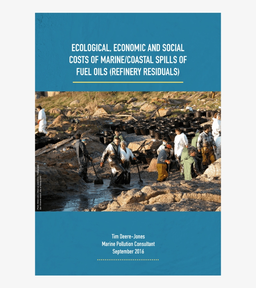 Ecological, Economic And Social Costs Of Marine/coastal - Petroleum, transparent png