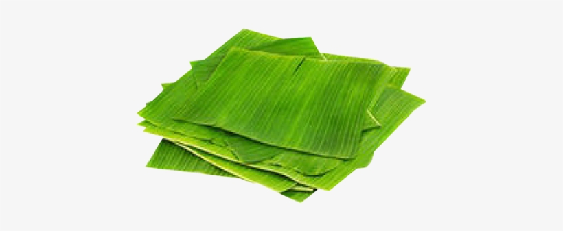 Hojas De Plátano Distribuidor Mayorista De Hojas De - Imagenes De Hojas De Platano, transparent png