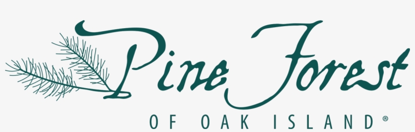 Pine Forest Of Oak Island - Moral Rhetoric Of American Presidents, transparent png