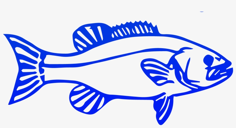 Fish, Download Png - Election, transparent png