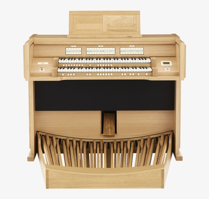 All Organs - Makin Organ, transparent png