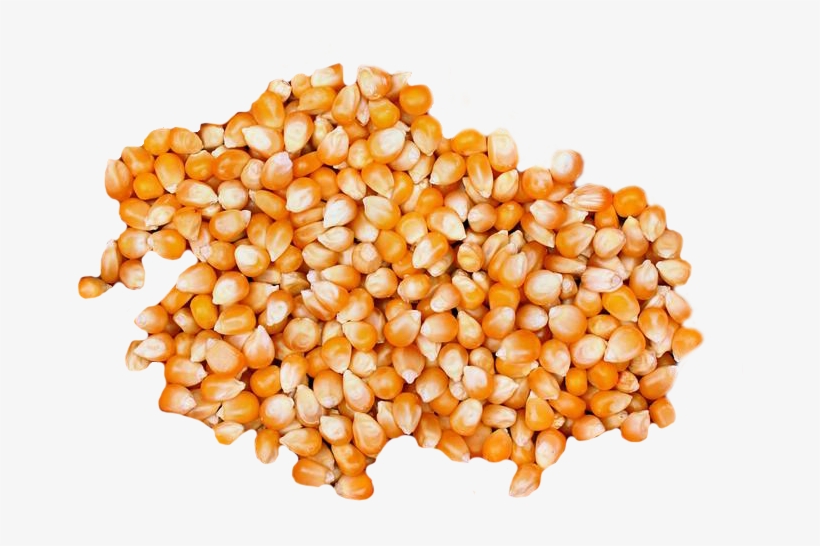Cracked Maize - Corn Popcorn, transparent png