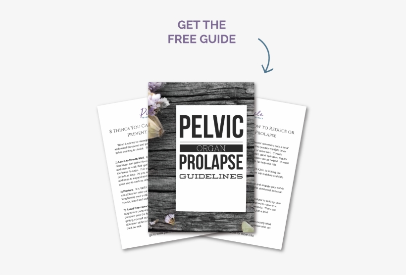 Pelvic Organ Prolapse Guide - Postpartum Period, transparent png