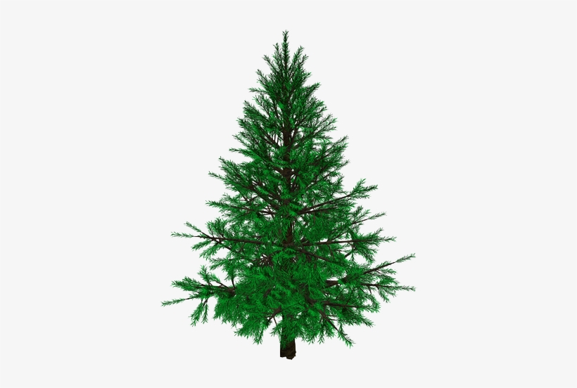 Xmastree - Christmas Tree, transparent png