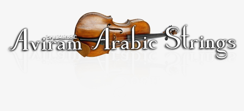 Aviram Dayan Production - Aviram Arabic Strings Kontakt, transparent png