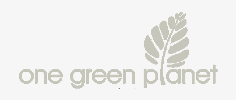 The Minimalist Vegan - Tree, transparent png