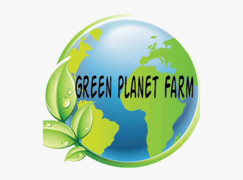 Photo - Green, transparent png