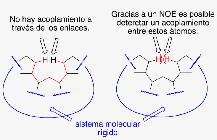 Overhauser, Efecto Nuclear De - Efecto Nuclear Overhauser, transparent png