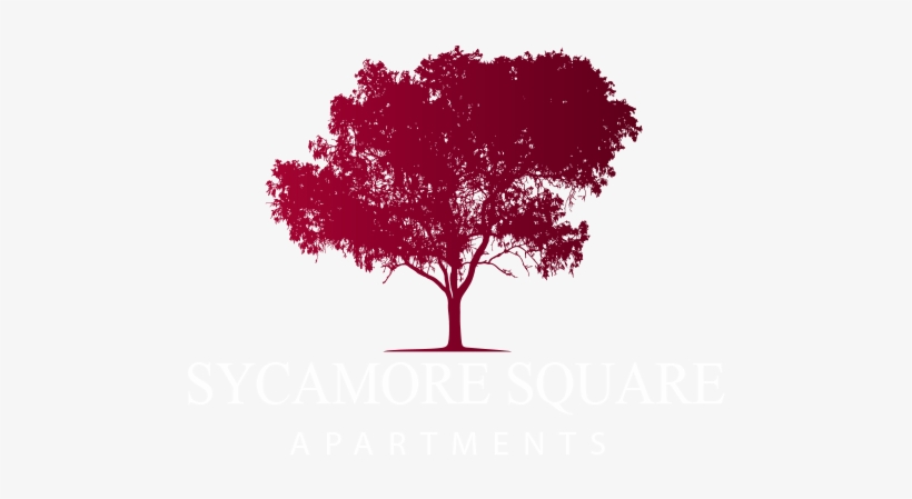 Sycamore Square - Australian Gum Tree Silhouette, transparent png