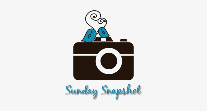 Camera Icon Png Free, transparent png