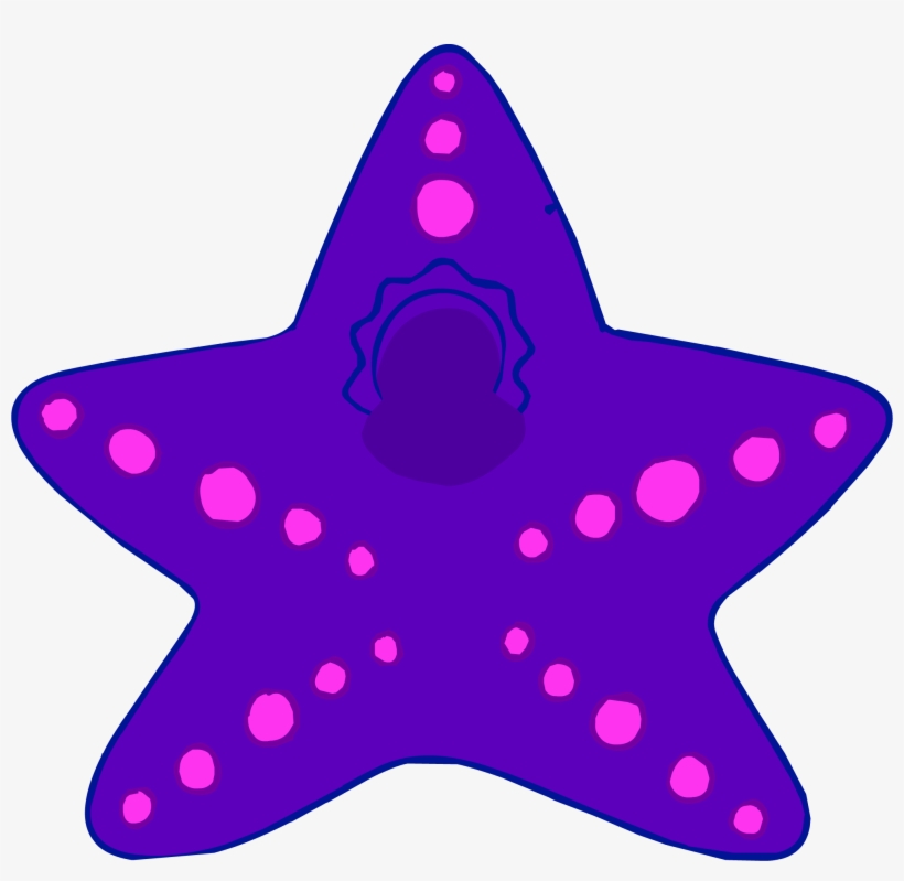 Starfish Costume - Estrella De Mar Disfraz, transparent png