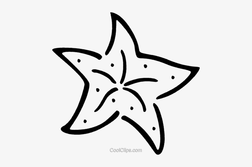 Estrella De Mar Libres De Derechos Ilustraciones De - Estrella De Mar Para Colorear, transparent png