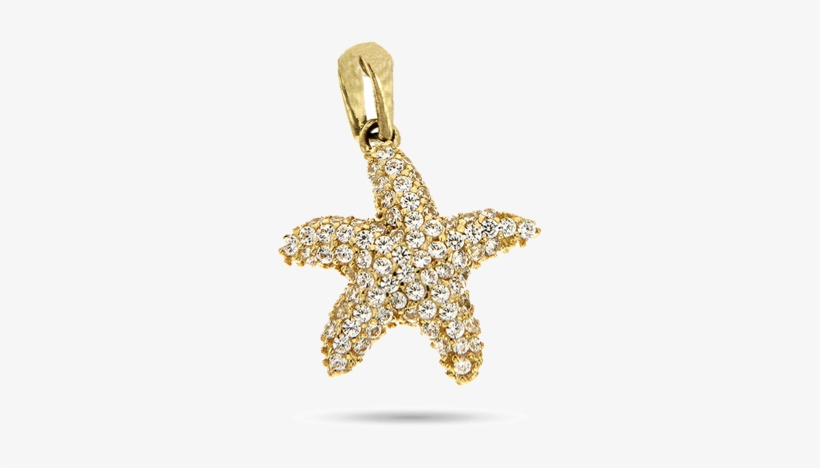 Dijes De Estrellas De Mar De Oro, transparent png