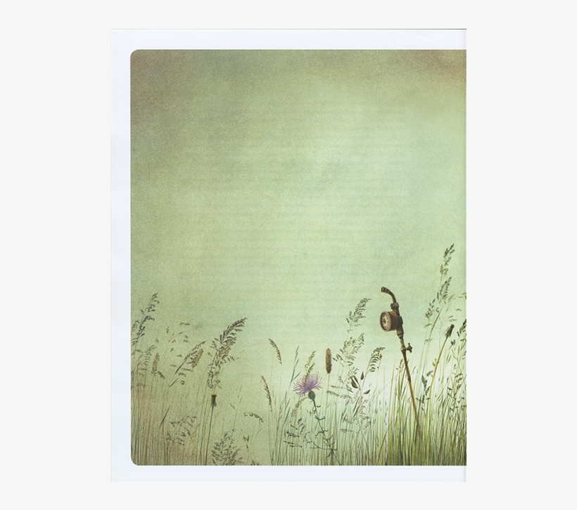 Alice Illustrated Around The World - Grass, transparent png